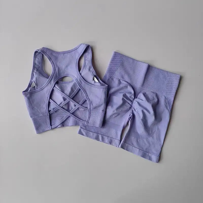 2-Piece Seamless Women’s Yoga Set