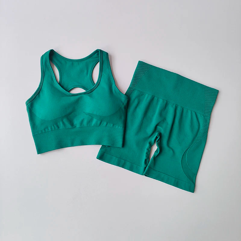 2-Piece Seamless Women’s Yoga Set