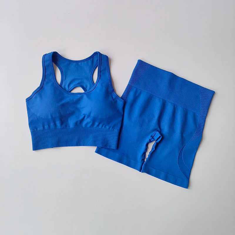 2-Piece Seamless Women’s Yoga Set